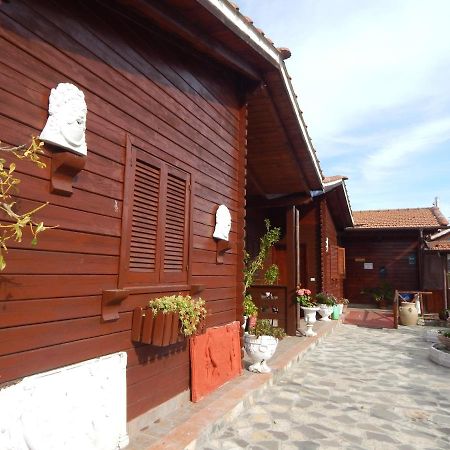 House 7 With 2 Bedrooms In The Countryside Of Rome Marina di Cerveteri Exterior photo