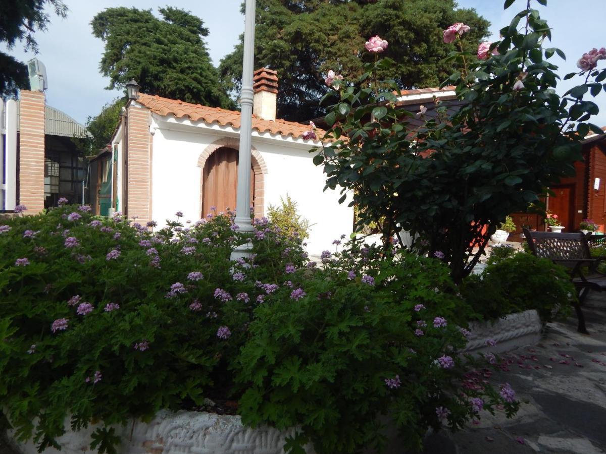 House 7 With 2 Bedrooms In The Countryside Of Rome Marina di Cerveteri Exterior photo