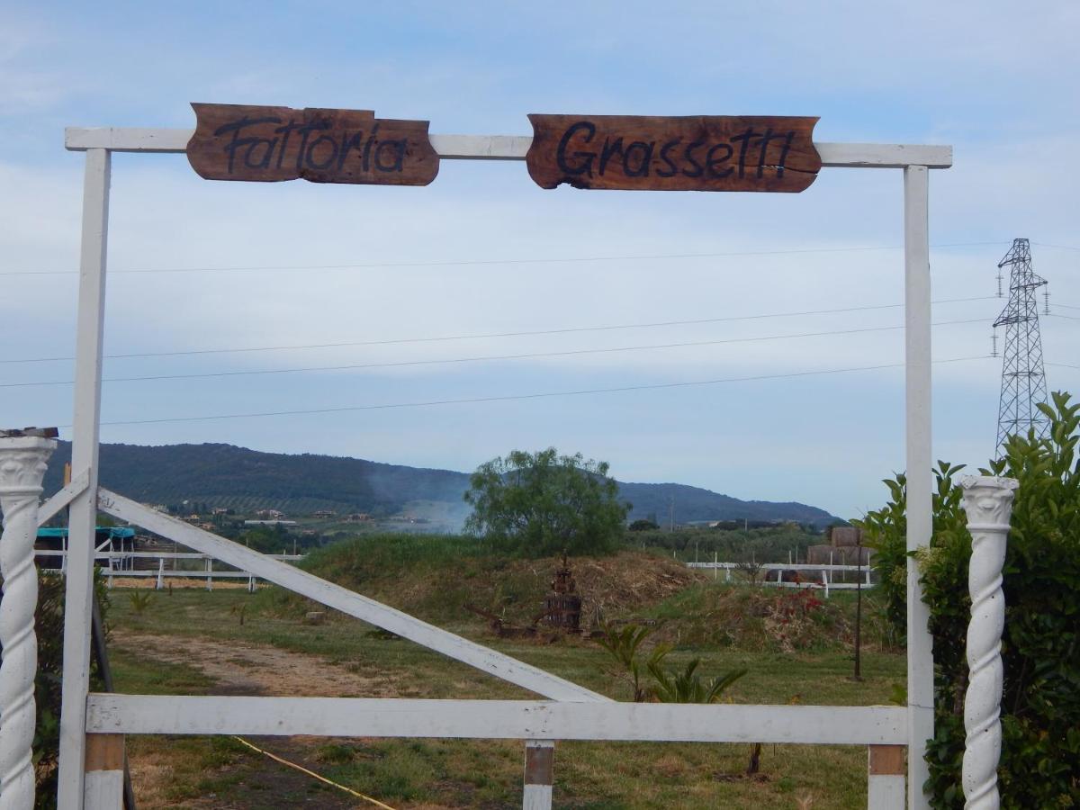 House 7 With 2 Bedrooms In The Countryside Of Rome Marina di Cerveteri Exterior photo