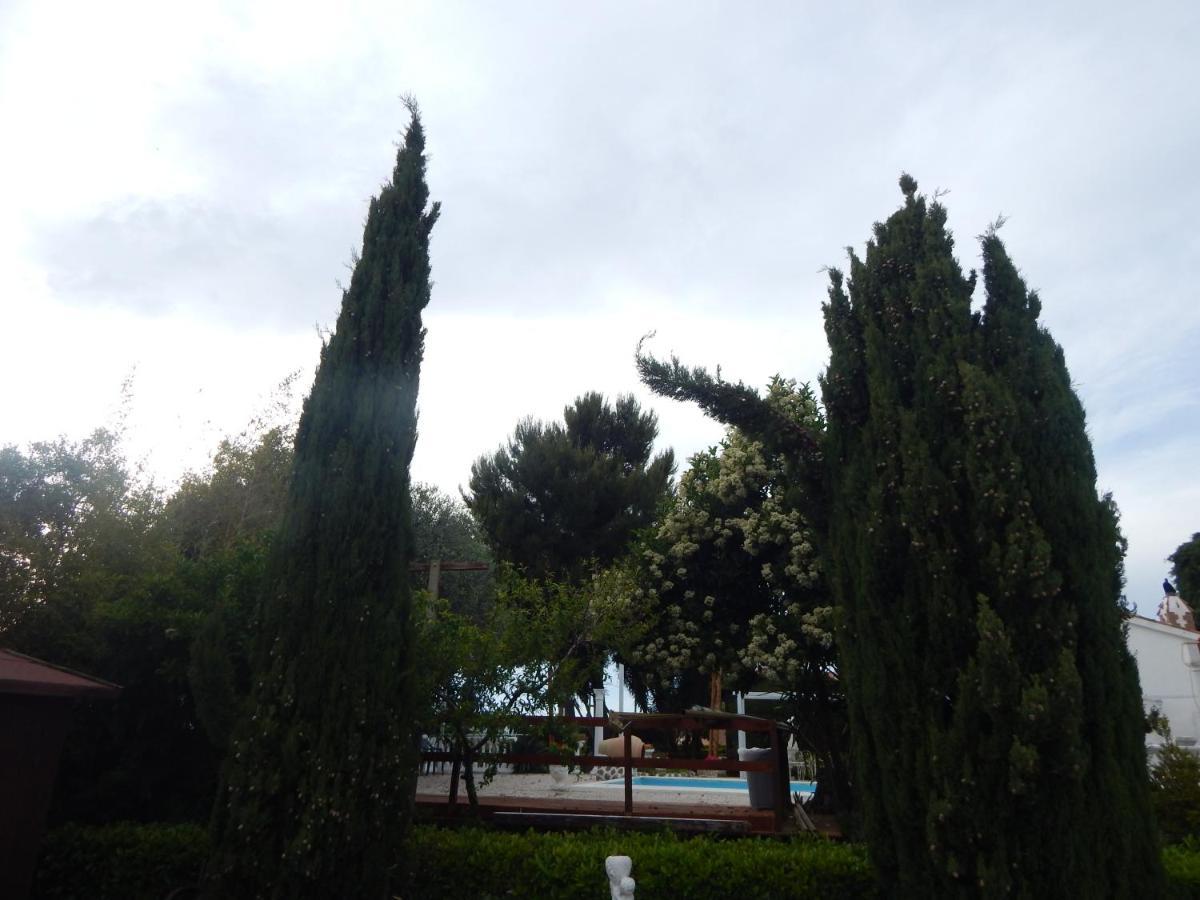 House 7 With 2 Bedrooms In The Countryside Of Rome Marina di Cerveteri Exterior photo