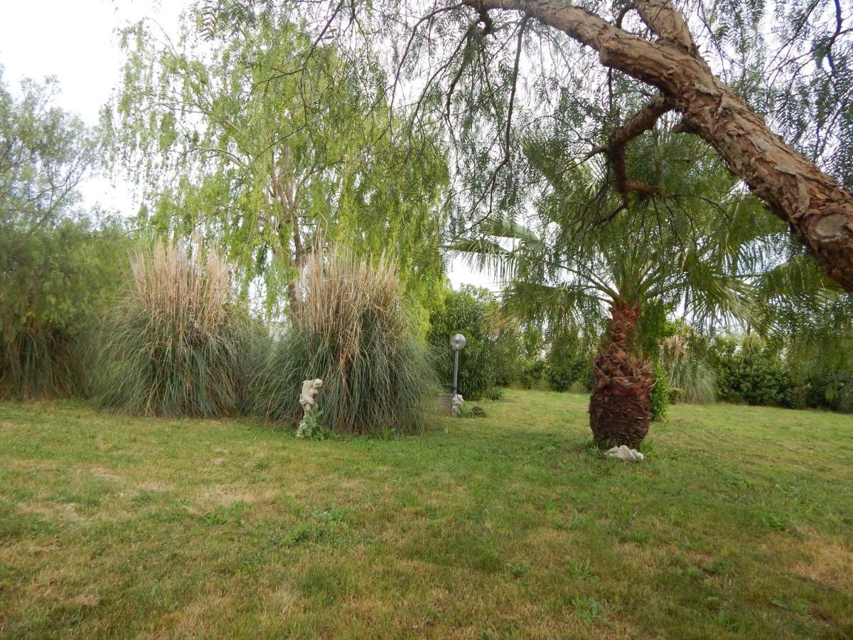 House 7 With 2 Bedrooms In The Countryside Of Rome Marina di Cerveteri Exterior photo