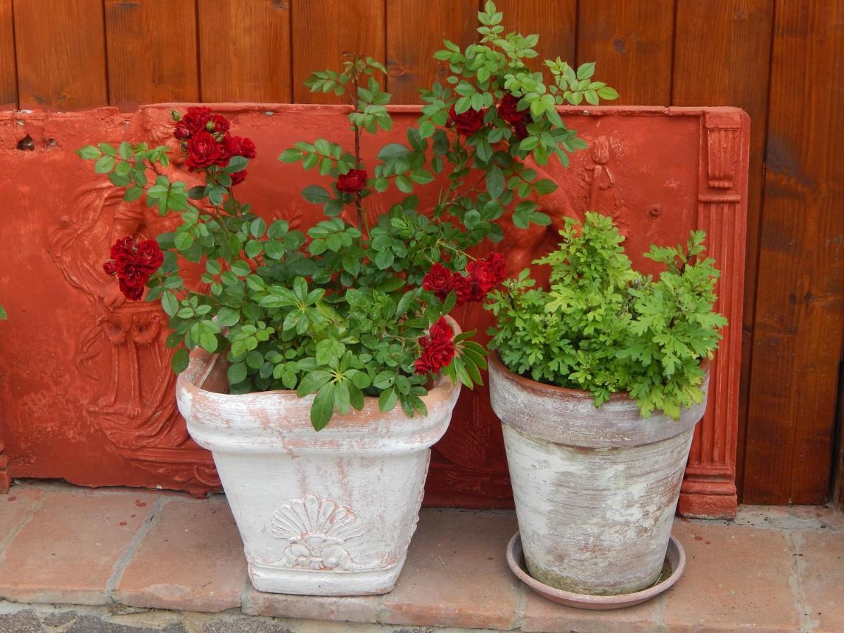 House 7 With 2 Bedrooms In The Countryside Of Rome Marina di Cerveteri Exterior photo